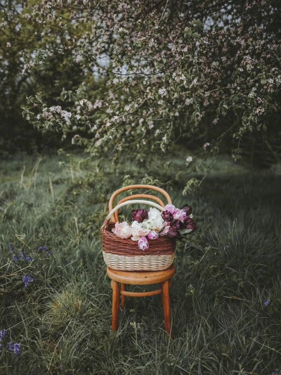 ：Flower&Chair
