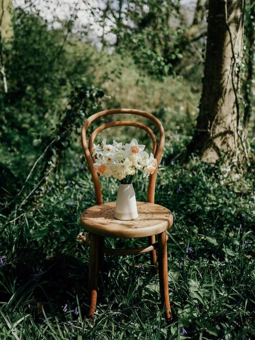 ：Flower&Chair
