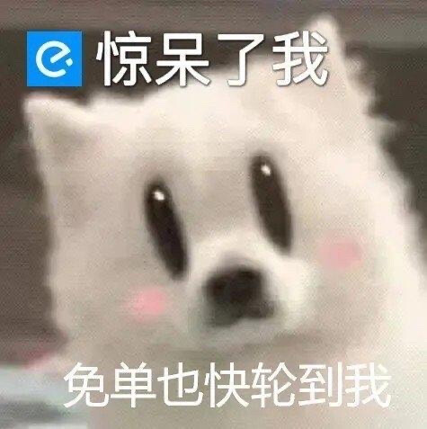 小白狗表情包