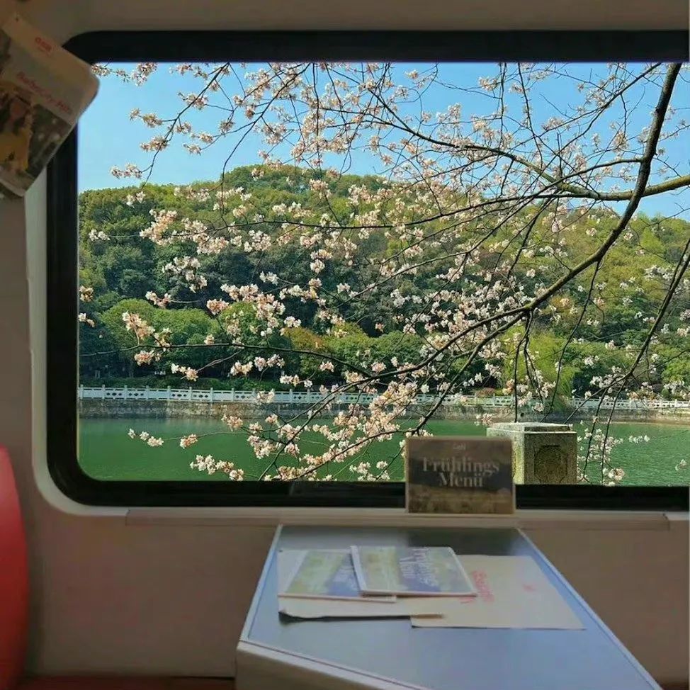 小众氛围感朋友圈背景图 ♡下过雨的夏天傍… - 堆糖，美图壁纸兴趣社区