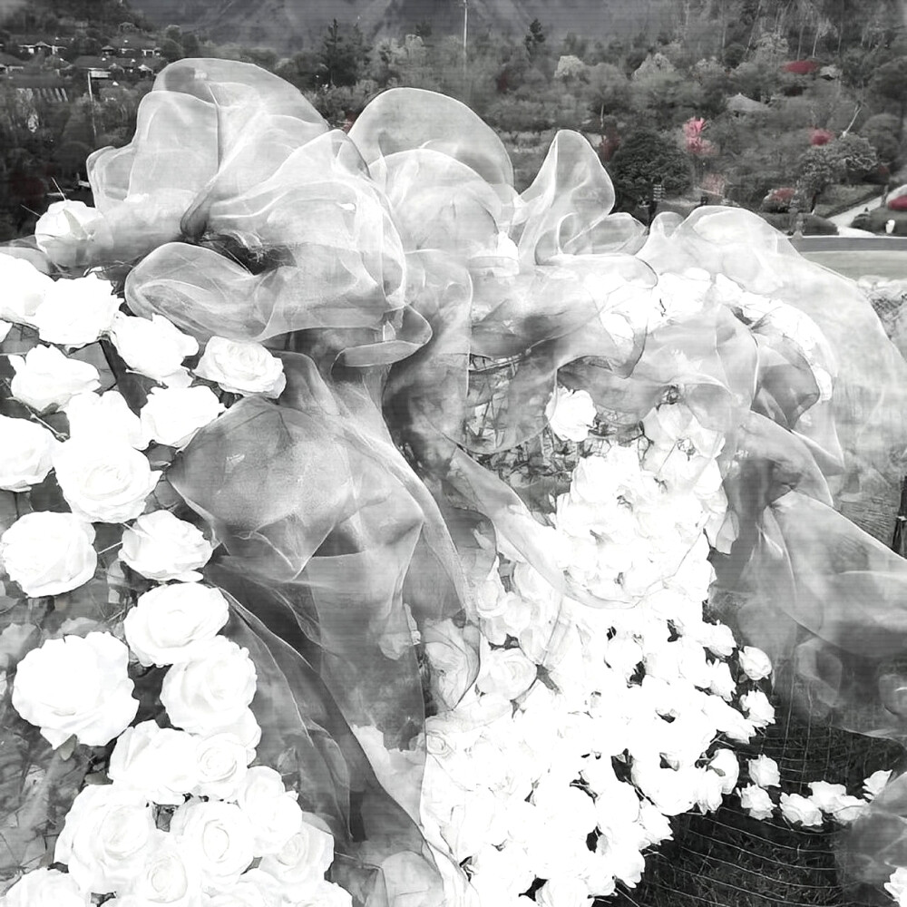 
白日梦我 ’ Fall into the heart
