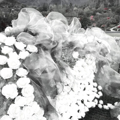 
白日梦我 ’ Fall into the heart
