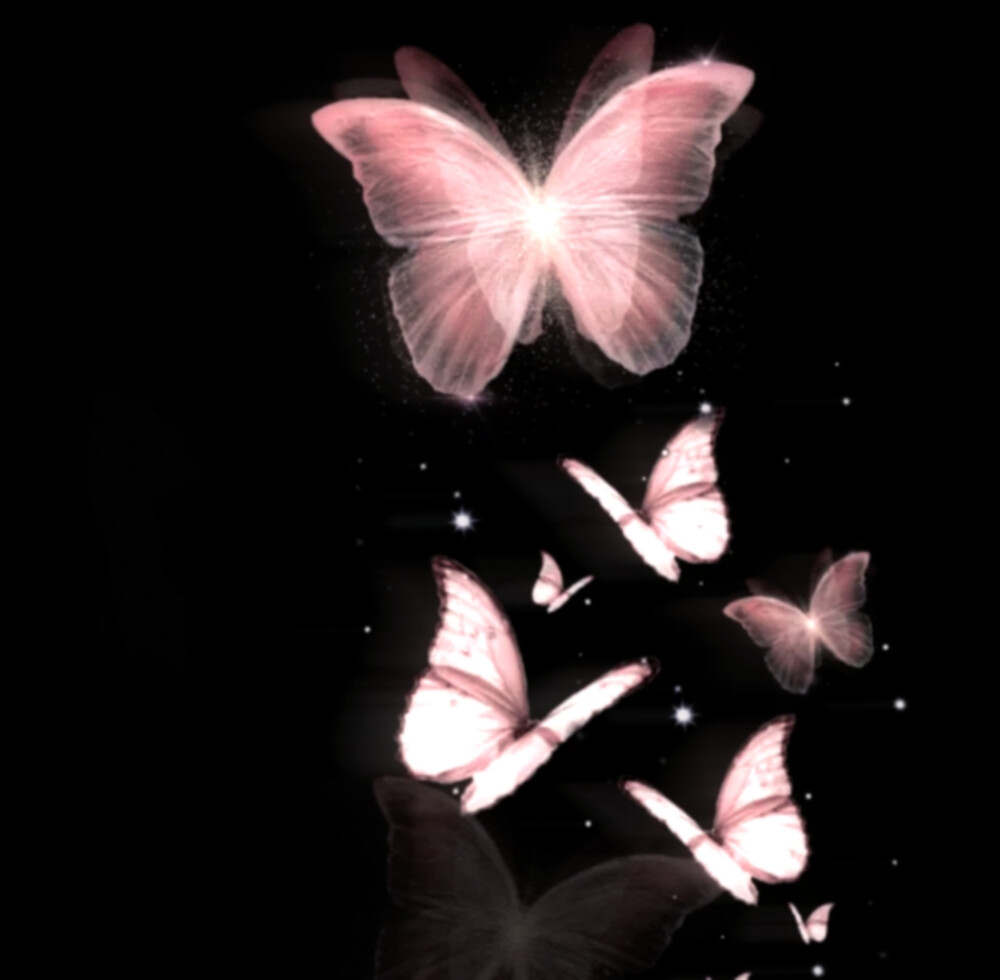  不懂爱的笨蛋。