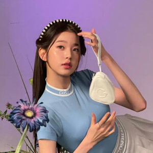 张元英官图可二改