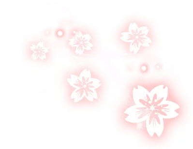 关系卡素材二转