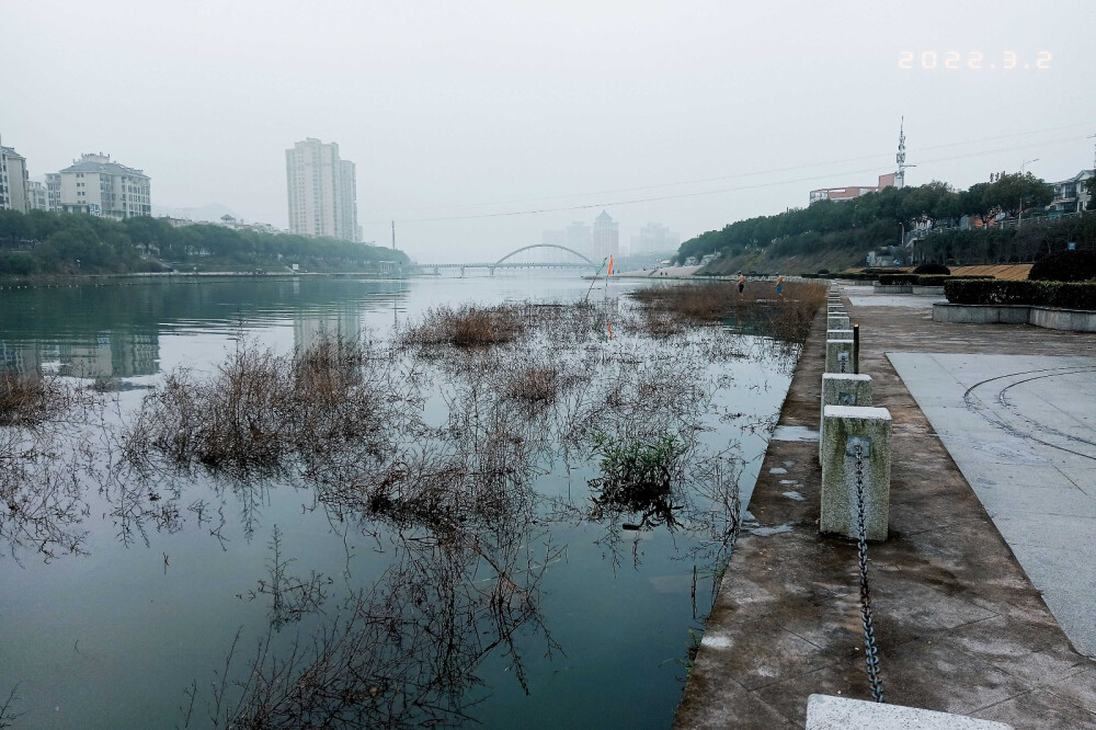 江滨雾天-鼎文化公园_水北溪（胶片相片-NK F-原图直出）何知宇 摄