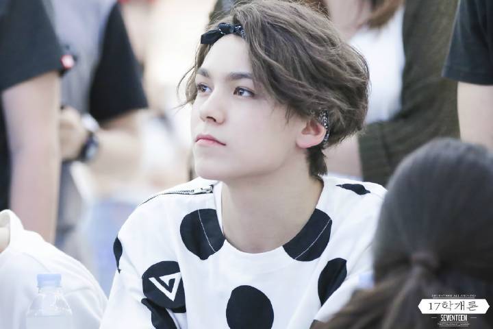 vernon