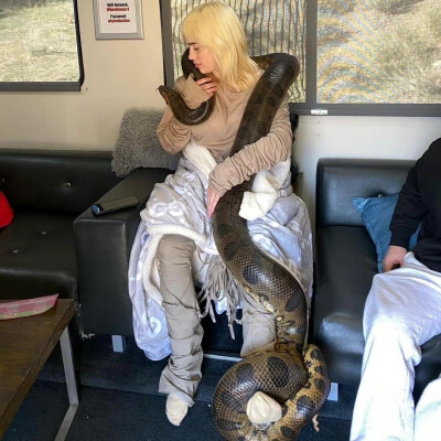 我的宝最近好美