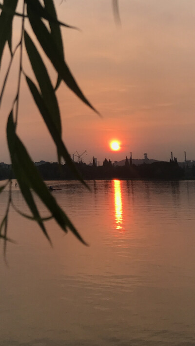 夏天的傍晚最浪漫～