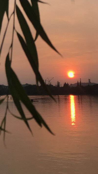 夏天的傍晚最浪漫～