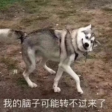 表情包