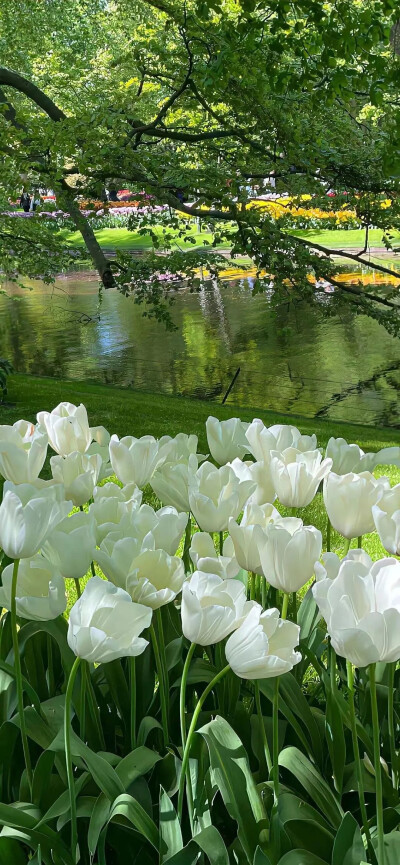 一些氛围感满满的夏日壁纸♡