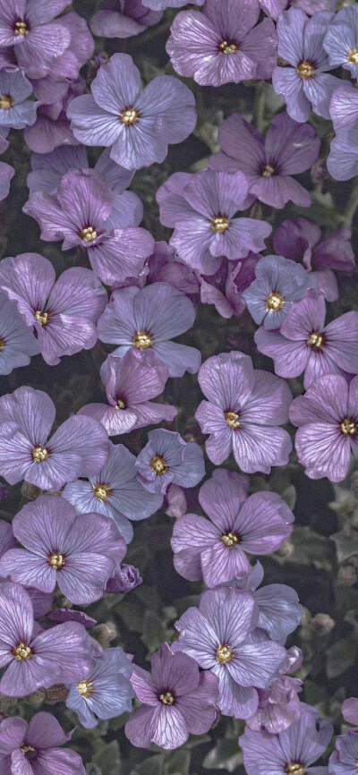 一些氛围感满满的夏日壁纸♡