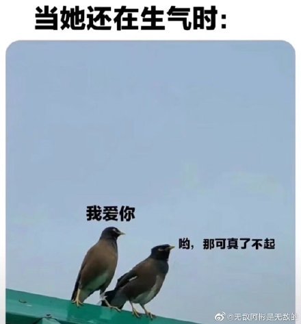 拿图点赞