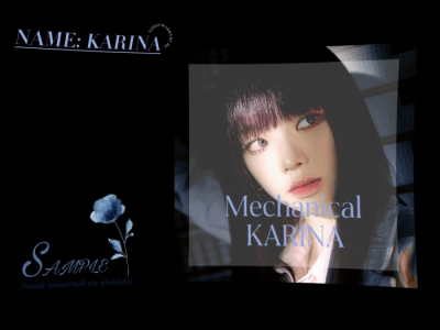 aespa 刘智敏 Karina