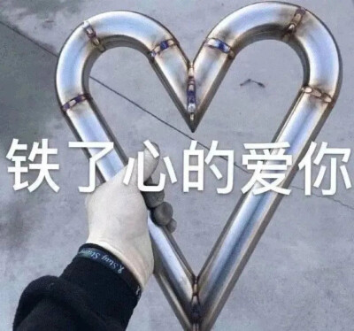 铁了心爱你
今日份沙雕搞怪可爱表情包
源自各处 侵权致歉.