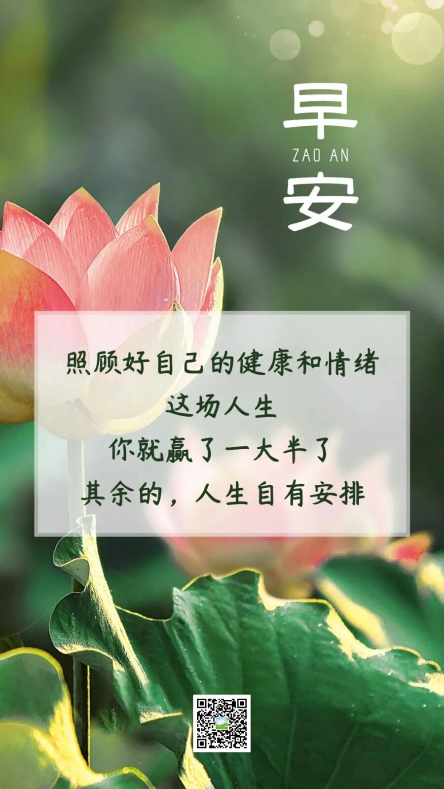 而是传递给对方的温暖和踏实,以及传递给对方的那份正能量.