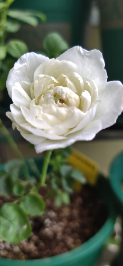 期待你们未来的样子。