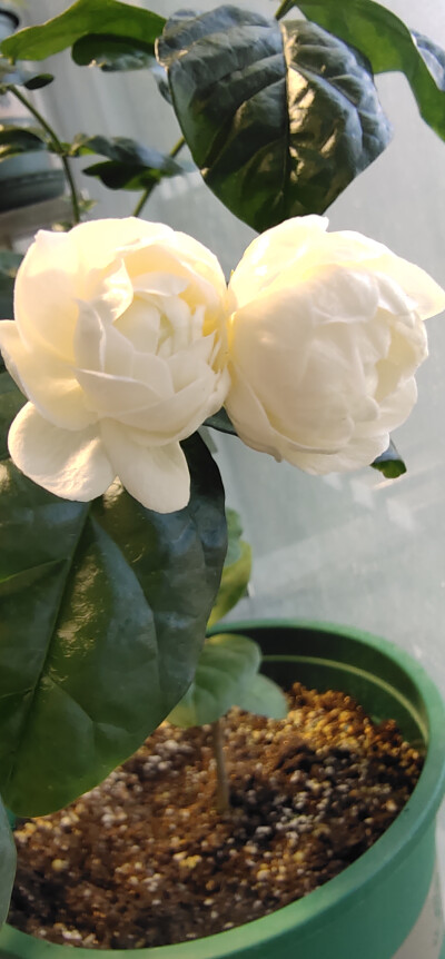 期待你们未来的样子。