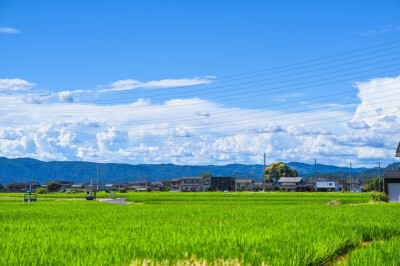 只有日本