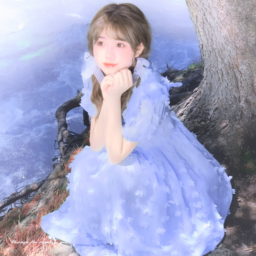窗前的白鸽飞过，你眼中落下星光