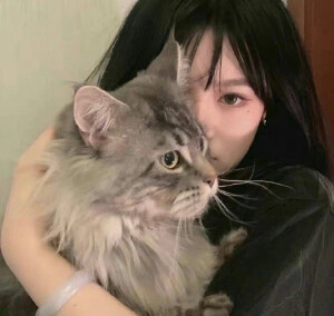 女生头像 猫