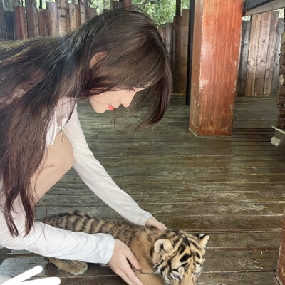 女头
二传注明出处