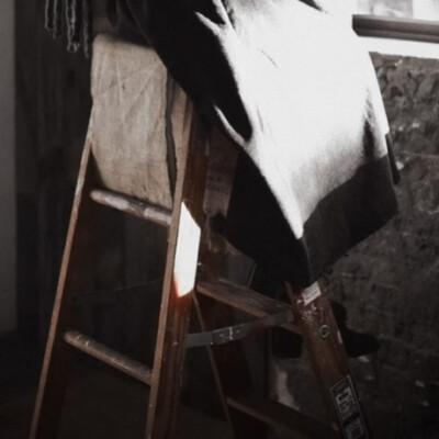 ***《巴黎圣母院》