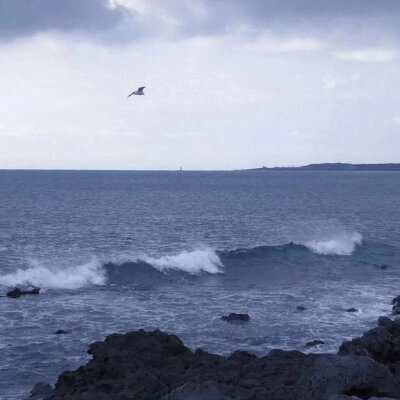 背景图 海 生活