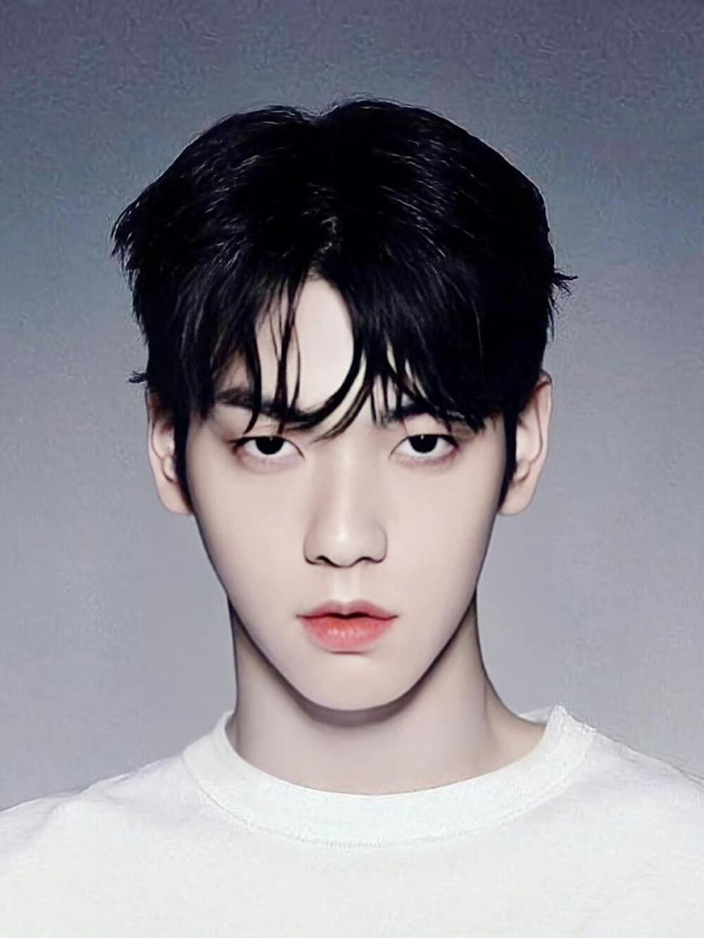 崔秀彬证件照cr.微博桃酿樱酒