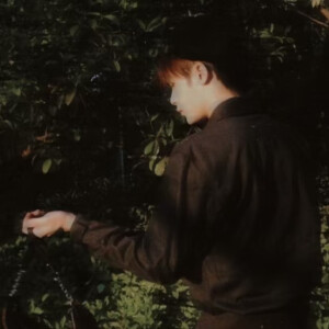 北海没有道
健次没有郎
