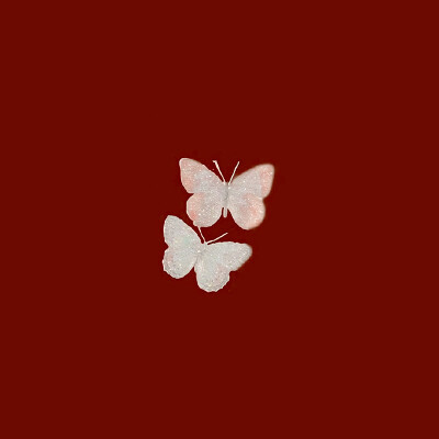 直井怜
原截iamleaf_