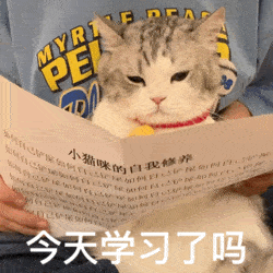 今天学习了吗？