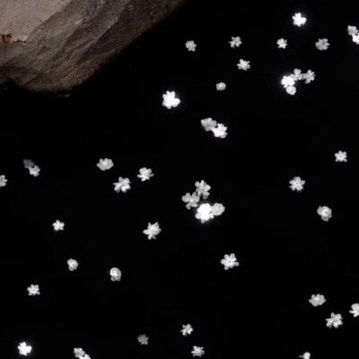 来一些共建行不行？