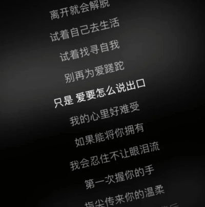 只是 爱要怎么说出口 （Silence）
