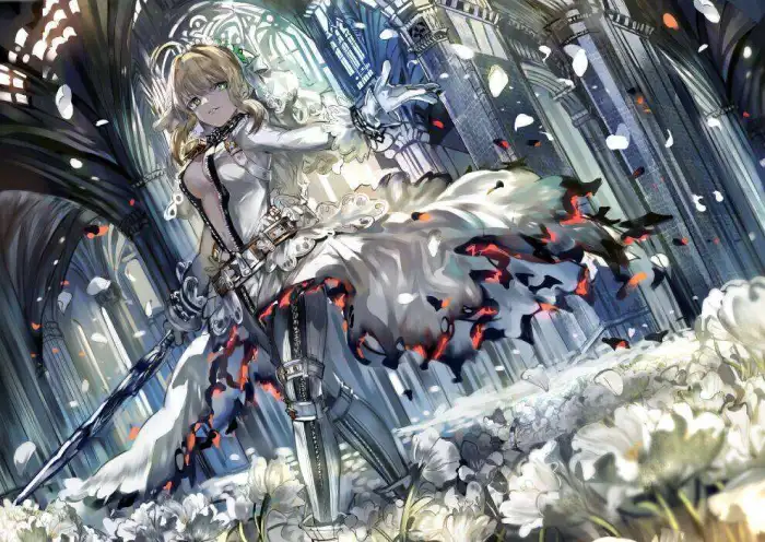 尼禄saber 暴君01 对人宝具 ~ 陨铁之鞴·邀… - 堆糖,美图壁纸兴趣