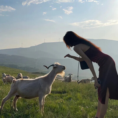 “爱自己才是终身浪漫的开始。”
真人女头
女生头像