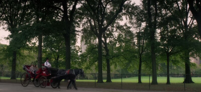 电影记录——纽约的一个下雨天。