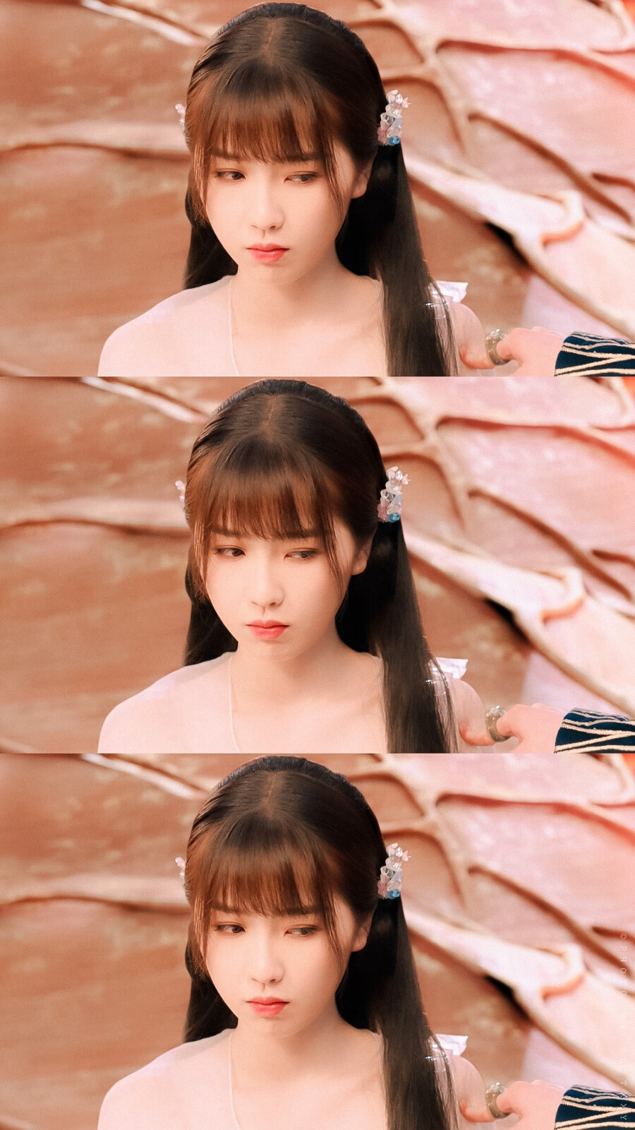 苍兰诀74虞书欣