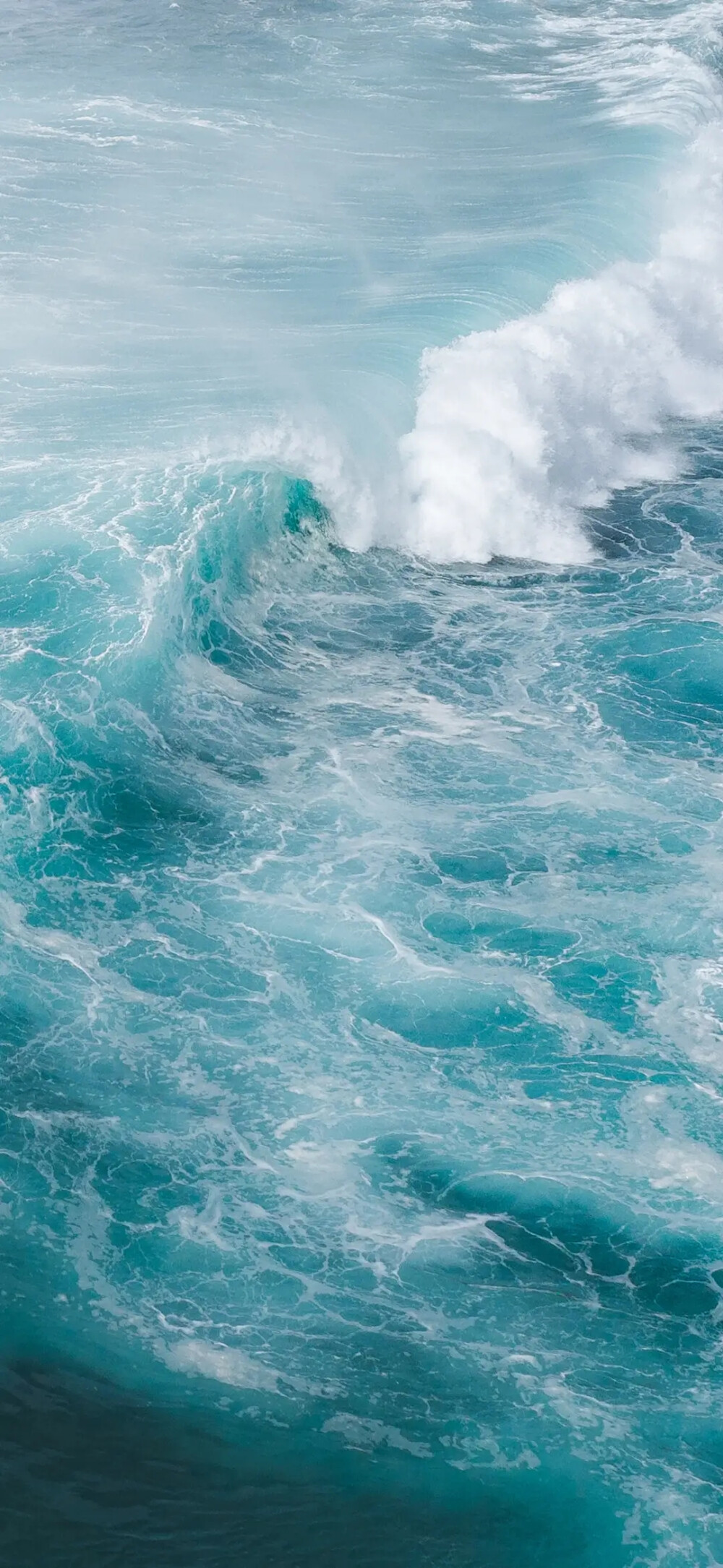 椰风海韵