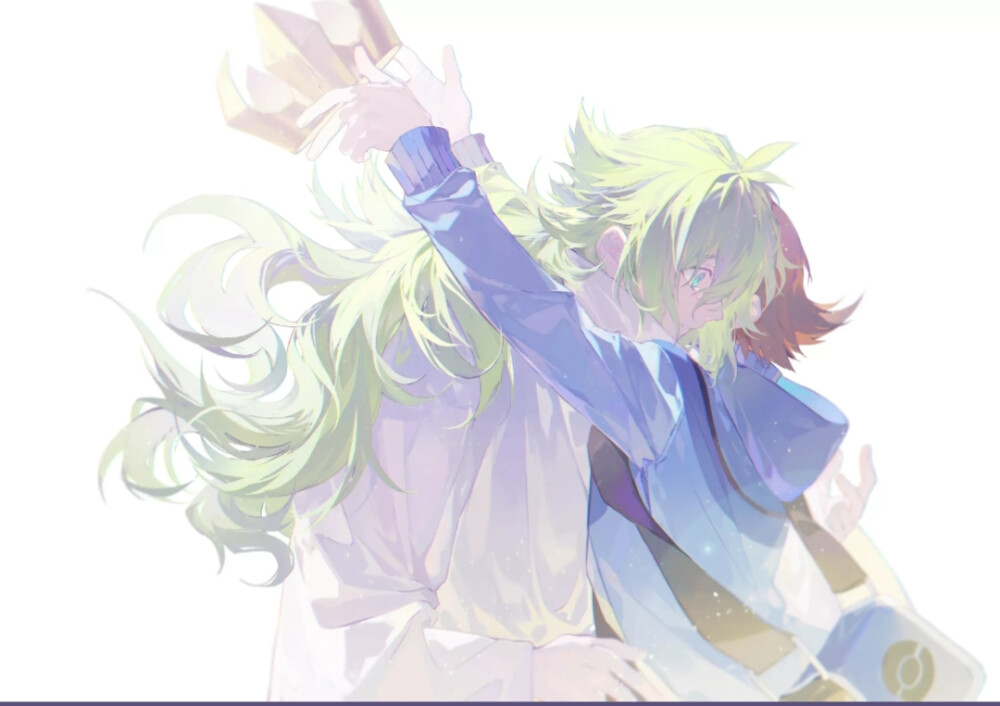 精灵宝可梦 n 斗也