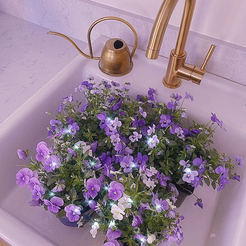 ᴸⁱᵛᵉ ˡᵒⁿᵍ ᵃⁿᵈ ᵖʳᵒˢᵖᵉʳ