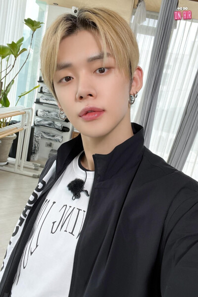 猫猫自拍：咔嚓~