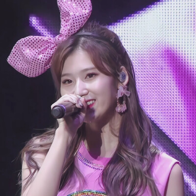 SANA/简介