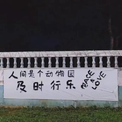 背景圖 