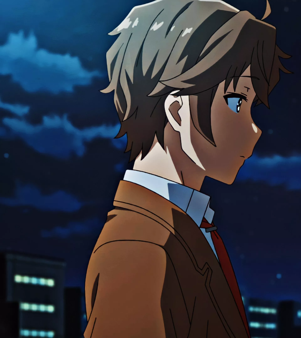 人活着就是为了樱岛麻衣