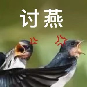 表情