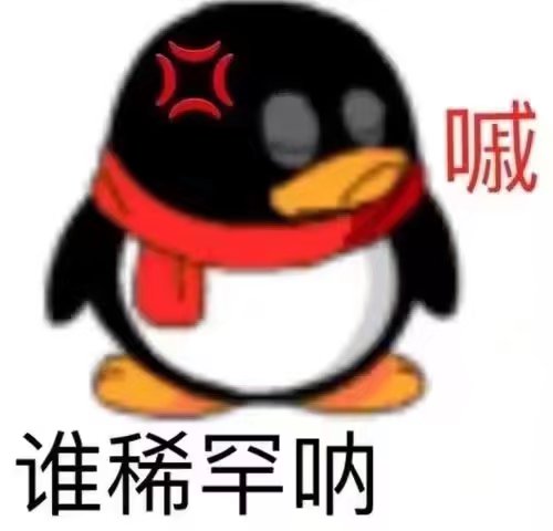 表情包 秋秋企鹅