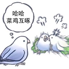 表情包 鸽子