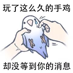 表情包 鸽子